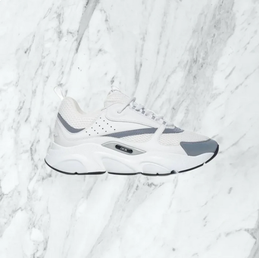 Dior b22